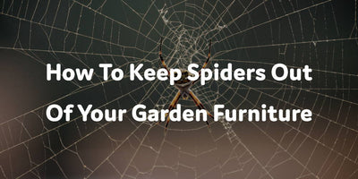 Do Spiders Like Rattan Furniture? How To Keep Them Off