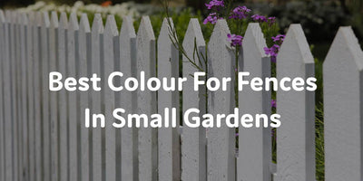 Best Colour For Fences In Small Gardens