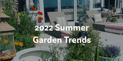 2022 Summer Garden Trends