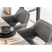 Nata PU Dining Chair - Set Of 2
