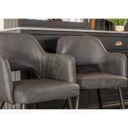 Nata PU Dining Chair - Set Of 2