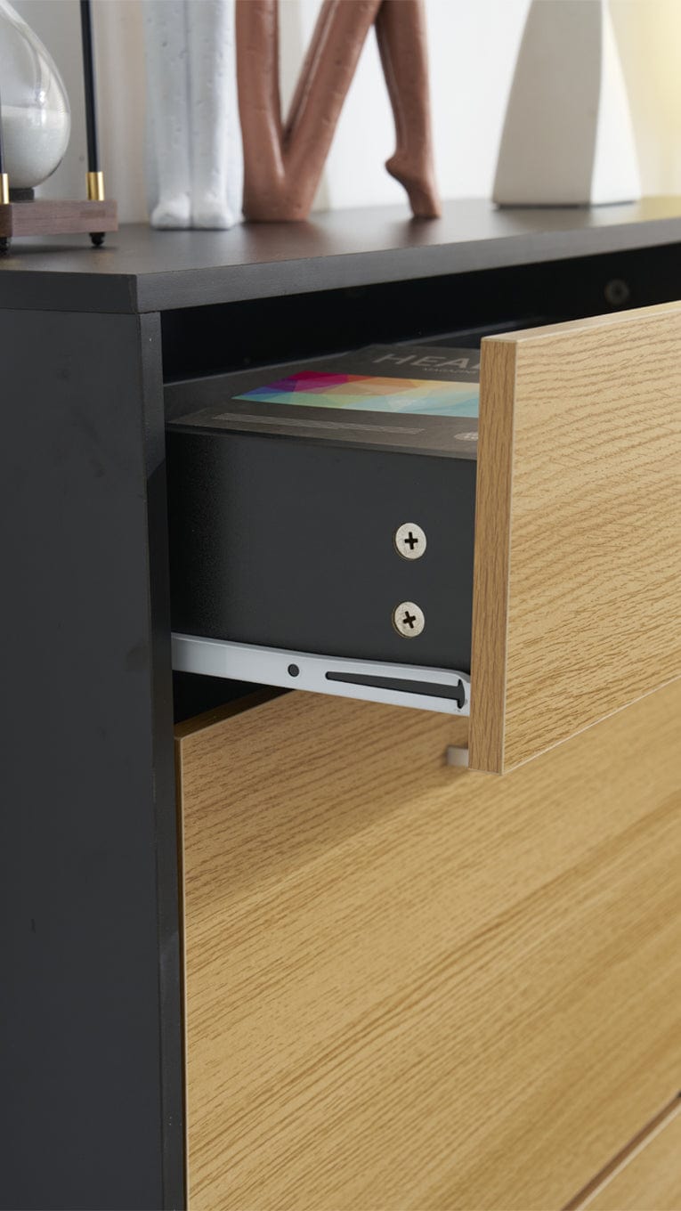 Heritage Black+Oak Shoe Storage Cabinet Shoe Rack Organizer With Drawer