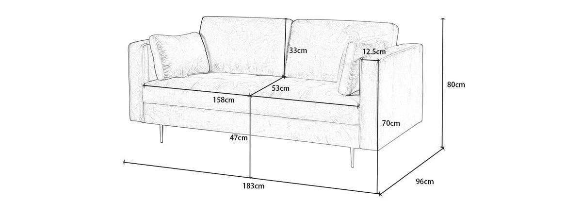 Avery Velvet 2 Seater Sofa with 2 Scatter Cushions