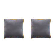 Birchcraft Velvet 2 Piece Indoor Soft Throw Pillow Set Scatter Cushions