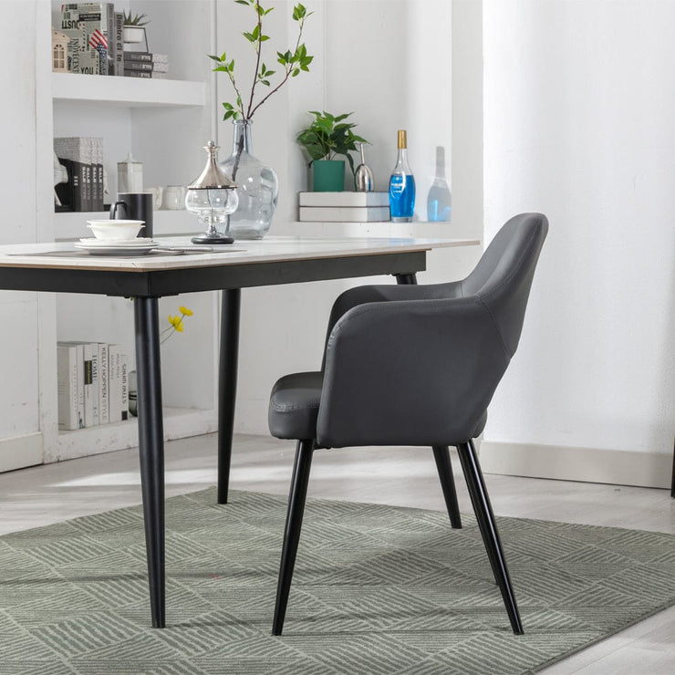 Nata PU Dining Chair - Set Of 2